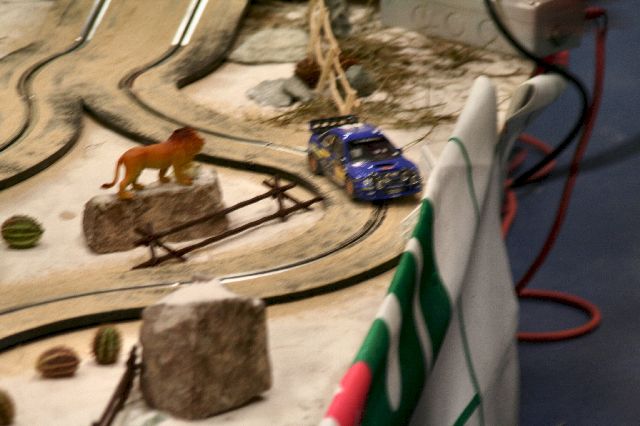 safari rally
